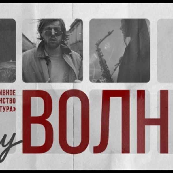 Акустический Vlny