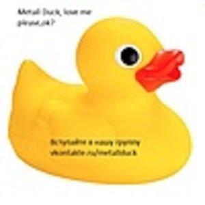 Metall Duck