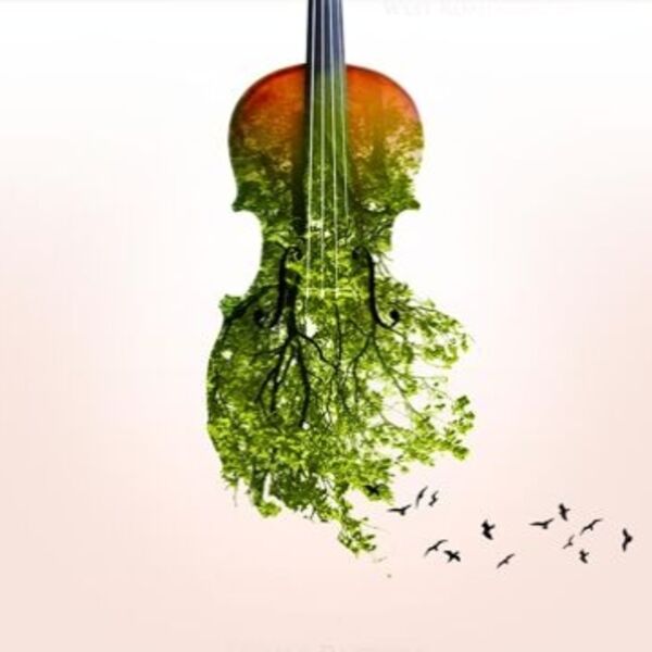 Времена года. Вивальди. Пьяццолла