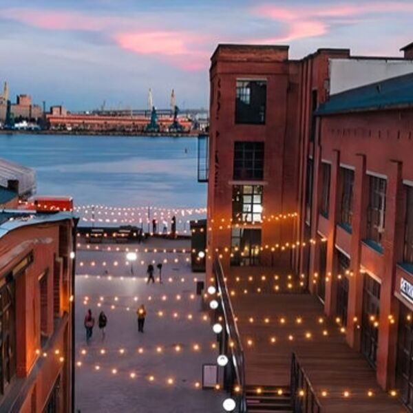 Cvetamuzika festival official pre-party