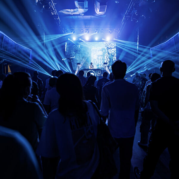 Слоны: 360. Elephant Trunk