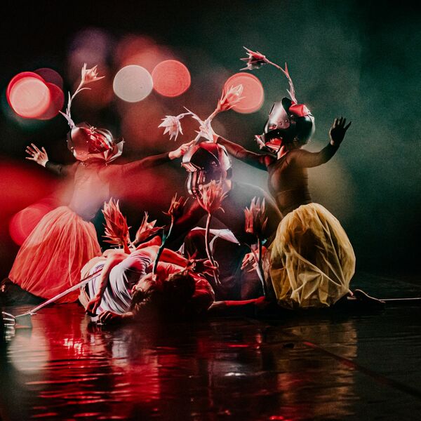 Весна Большой Гала. Вечер классической и современной хореографии