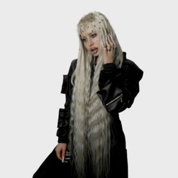 Концерт Hofmannita