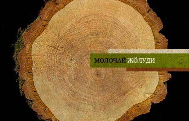 Обложки пластинок