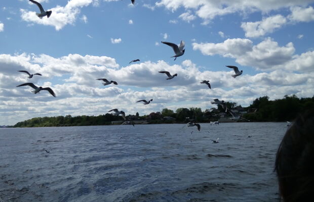 #diskapartyzany на Rock-Line 2016! (Пермь)