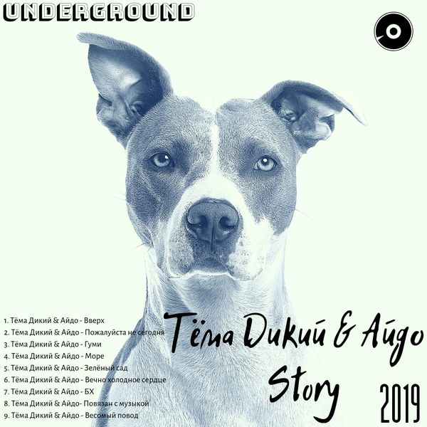 Story - 2019