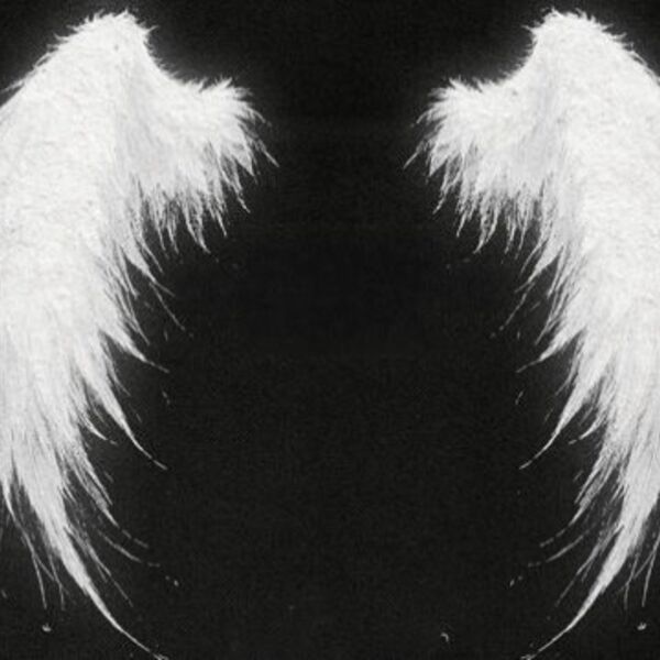 Концерт Hofmannita