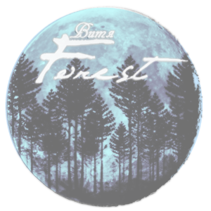 Витя форест