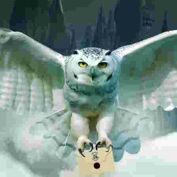 Гарри Поттер. Оркестр Sonorus