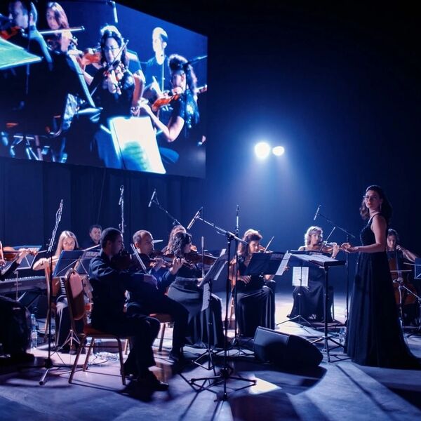 Alta Musica Orchestra. Гарри Поттер