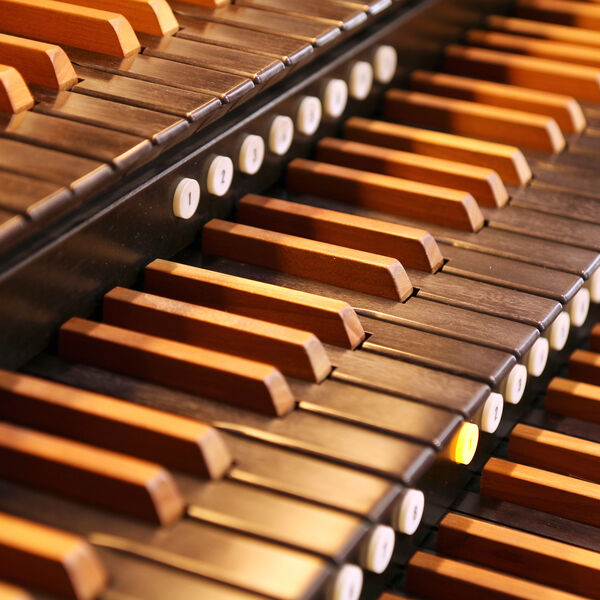 Фикси-секреты органного зала