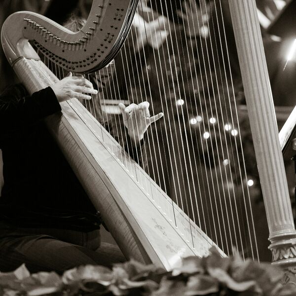 Класс арфы Надежды Сергеевой