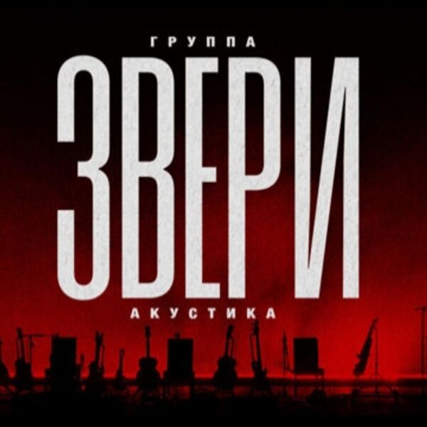 Группа «Звери». Акустика
