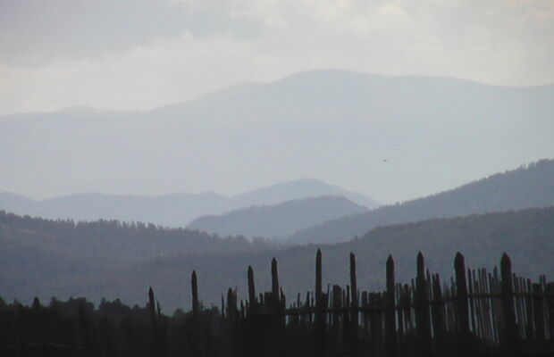 ГАЛЛЮЦИНОГЕН фото