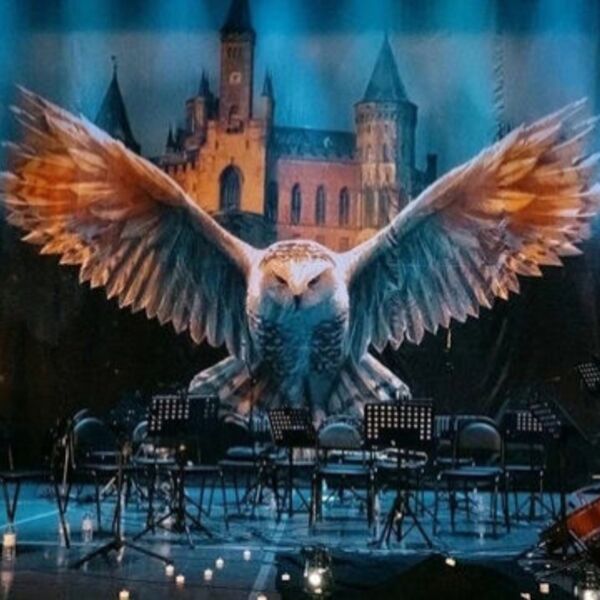 Концерт Harry Potter. Magic Music