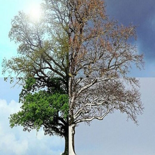 "Времена года". Вивальди, Пьяццолла