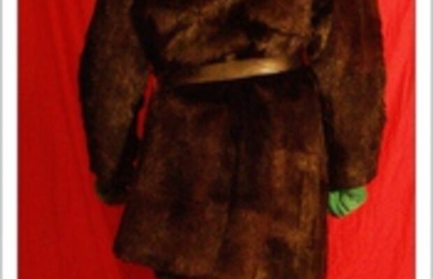  вот   такой   городовой