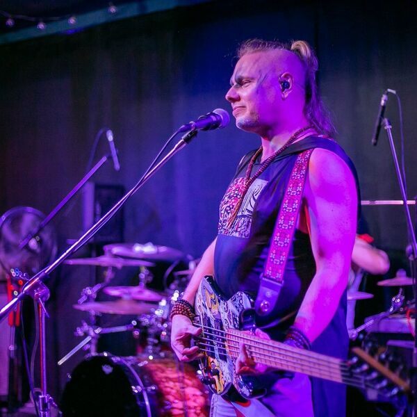 Скворцы Степанова