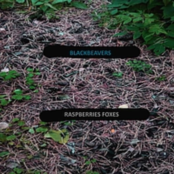 BLACKBEAVERS-Raspberries Foxes(single)2015