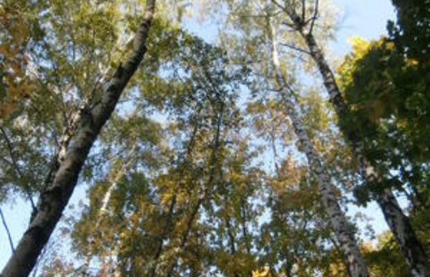 Сентябрьский