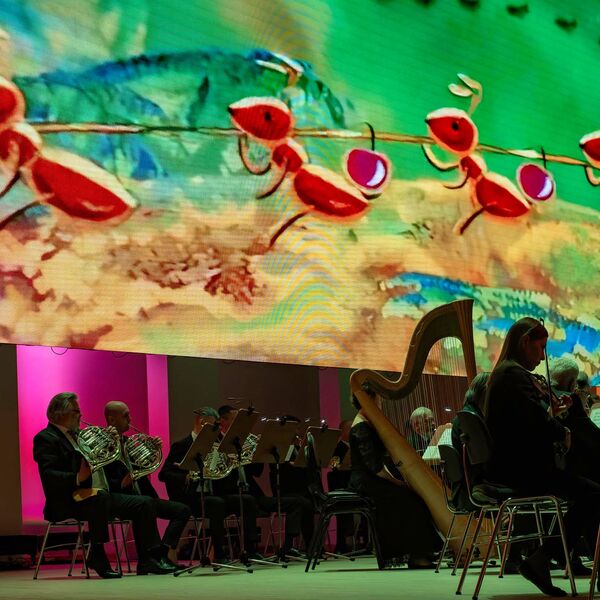 Приключения Алисы