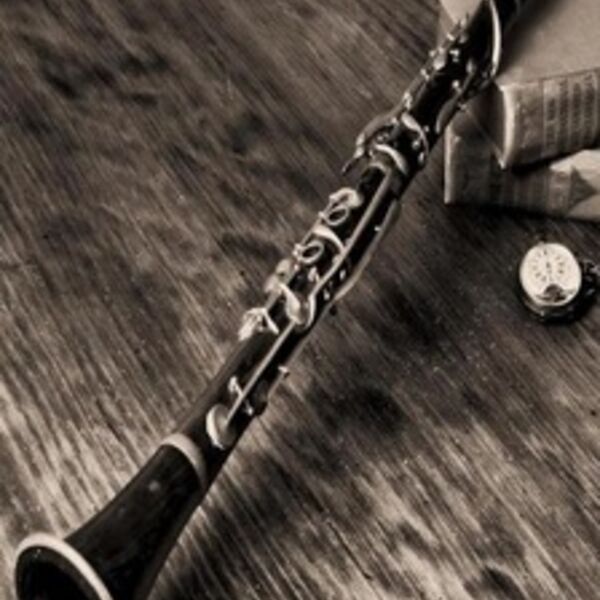 Вечер духовой музыки