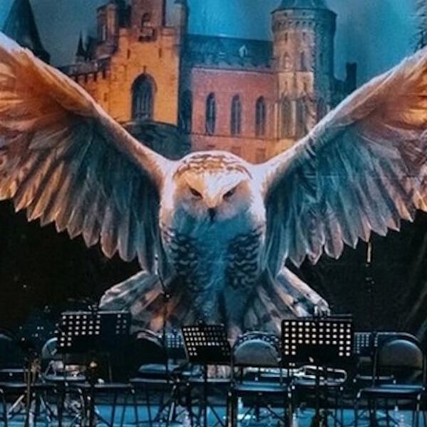 Гарри Поттер. Музыка волшебства