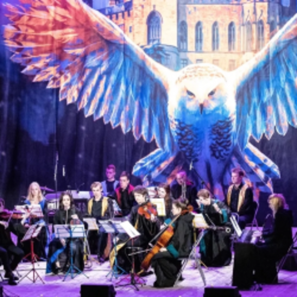 Гарри Поттер. Оркестр «Sonorus»