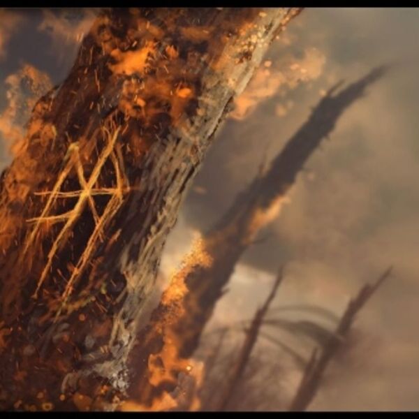 Мещера»: «Фест