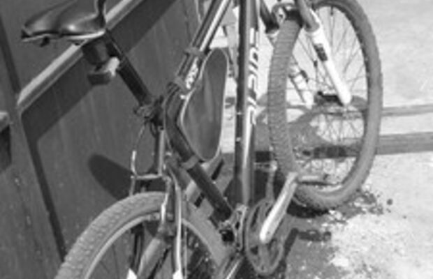 в процессе )