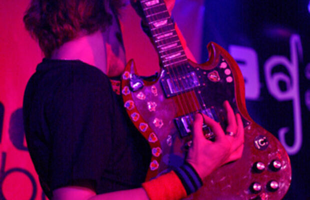 Адаптация Пчёл