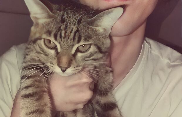 Slava Volk Певец