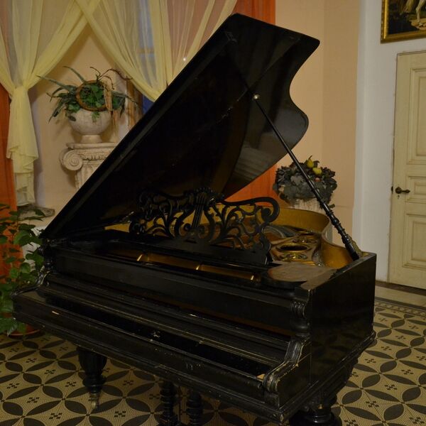 Экскурсия в особняк Шрёдера + Мгновения весны