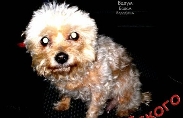 Обложки альбомов