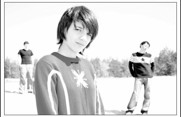 Адаптация Пчёл