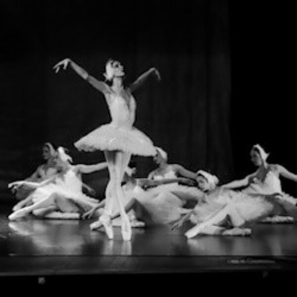 Лебединое озеро