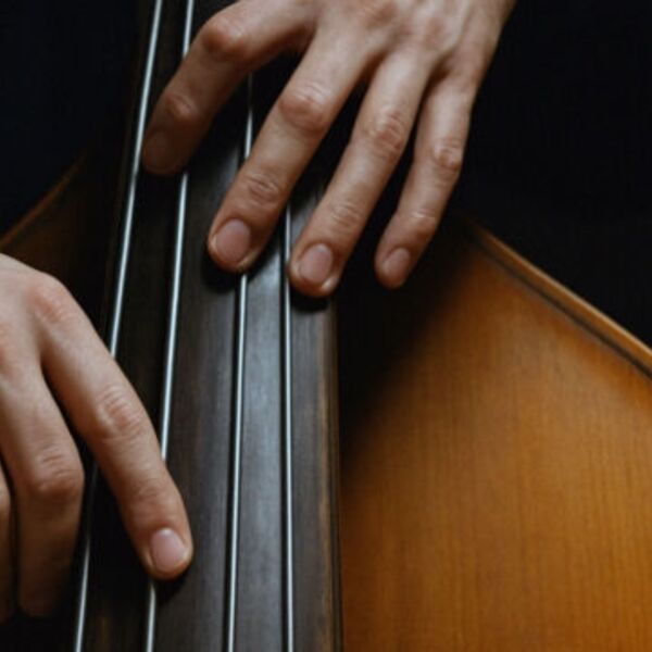 Contrabasso suono vivo (Контрабас - живое звучание)