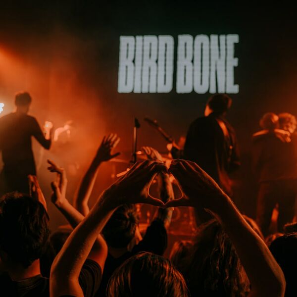 Bird Bone