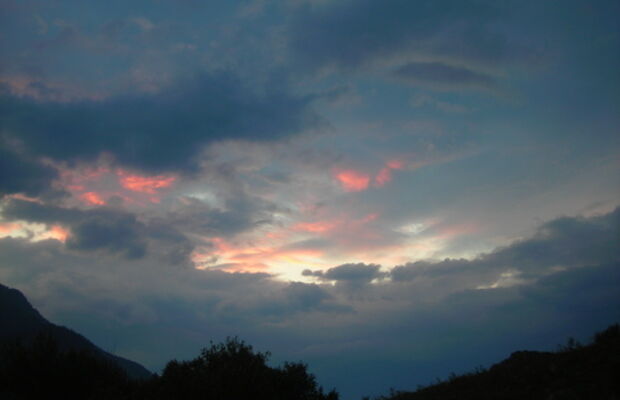 ГАЛЛЮЦИНОГЕН фото