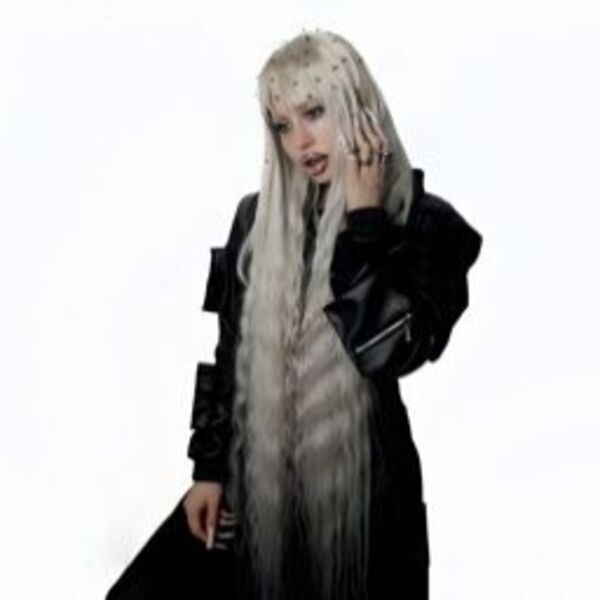 Концерт Hofmannita