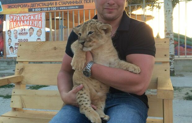 Nerv(Денис Трофимов)