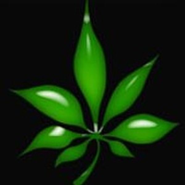 Cannabis