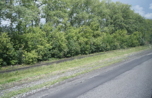 Overdrive 2014, Борисоглебск