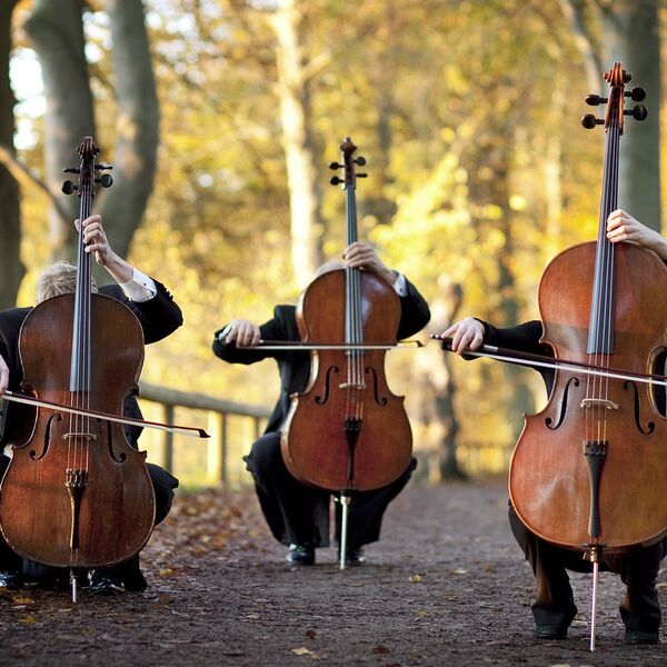 Magic Cellos Band. Мировые рок-хиты на виолончелях