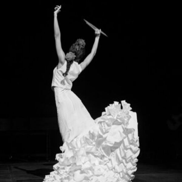 Мавританские виолы фламенко