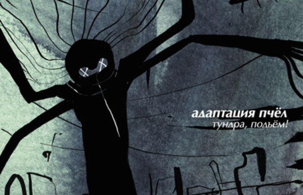 Адаптация Пчёл