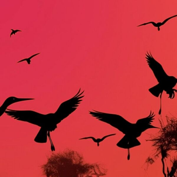 Оркестр орган шоу: Шедевры Поля Мориа, Джеймса Ласта, Стинга, Эннио Морриконе