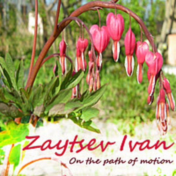 Zaytsev Ivan - On the path of motion - 2011 (MP3)