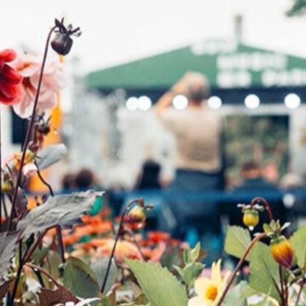 Фестиваль «Summer Music Park». Голливуд в Ботаническом. Singolo Orchestra. А. Гаккель