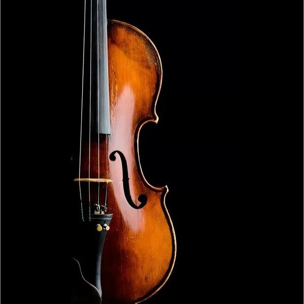 Шедевры мировой классики. Творческая встреча